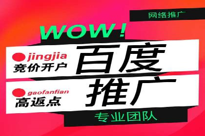 竞价推广SEM托管实战案例分析